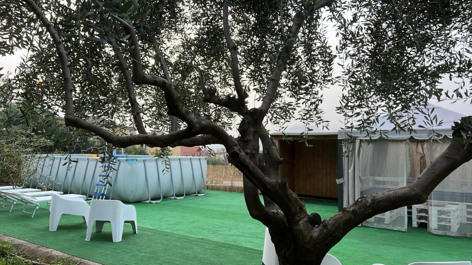 Cerasella House Διαμέρισμα Castellammare di Stabia Εξωτερικό φωτογραφία