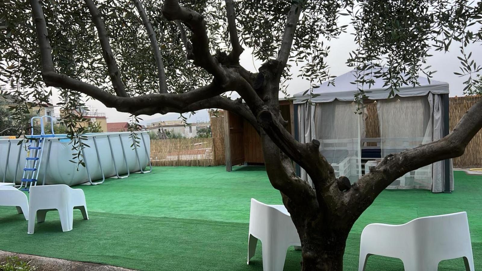 Cerasella House Διαμέρισμα Castellammare di Stabia Εξωτερικό φωτογραφία